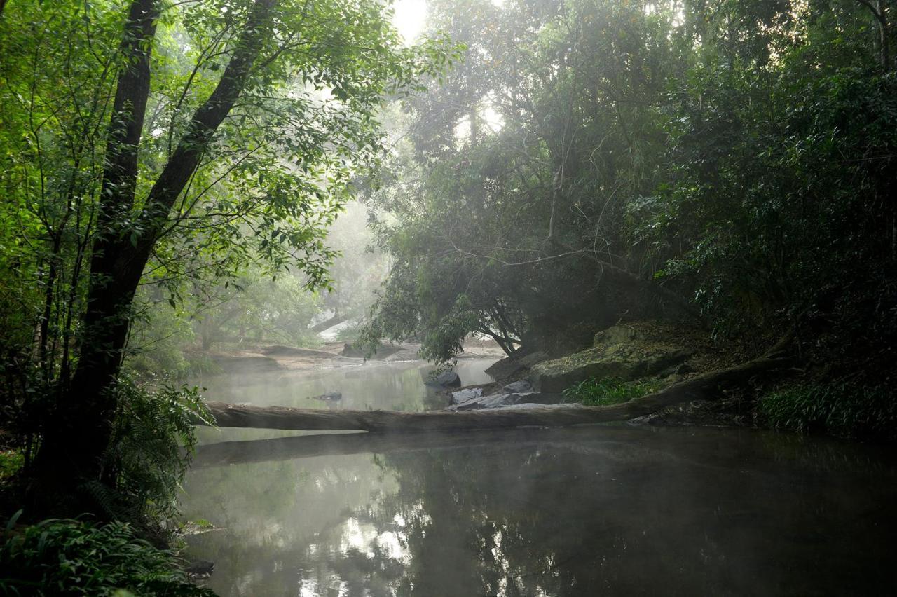 Amanvana Spa Resort, Coorg Kushālnagar Exteriér fotografie