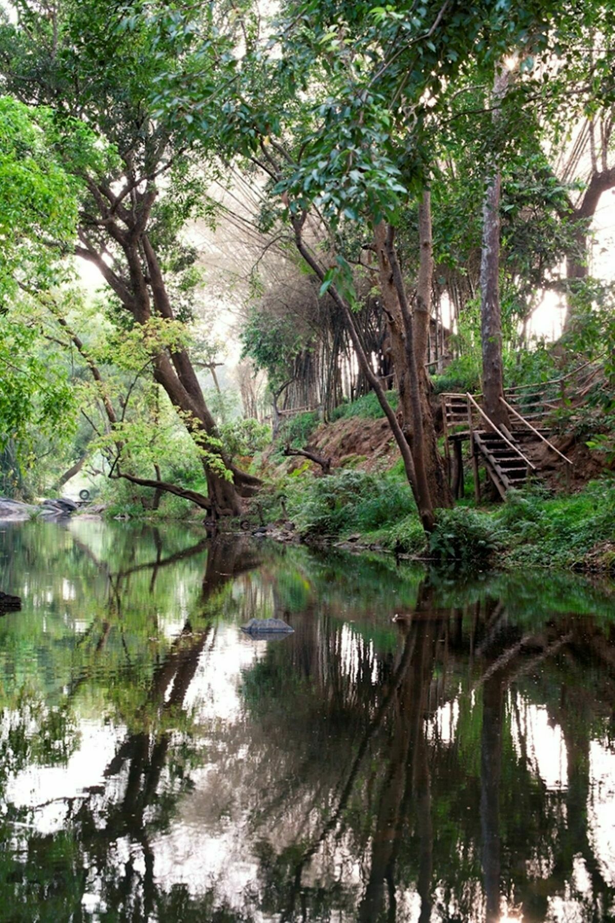 Amanvana Spa Resort, Coorg Kushālnagar Exteriér fotografie
