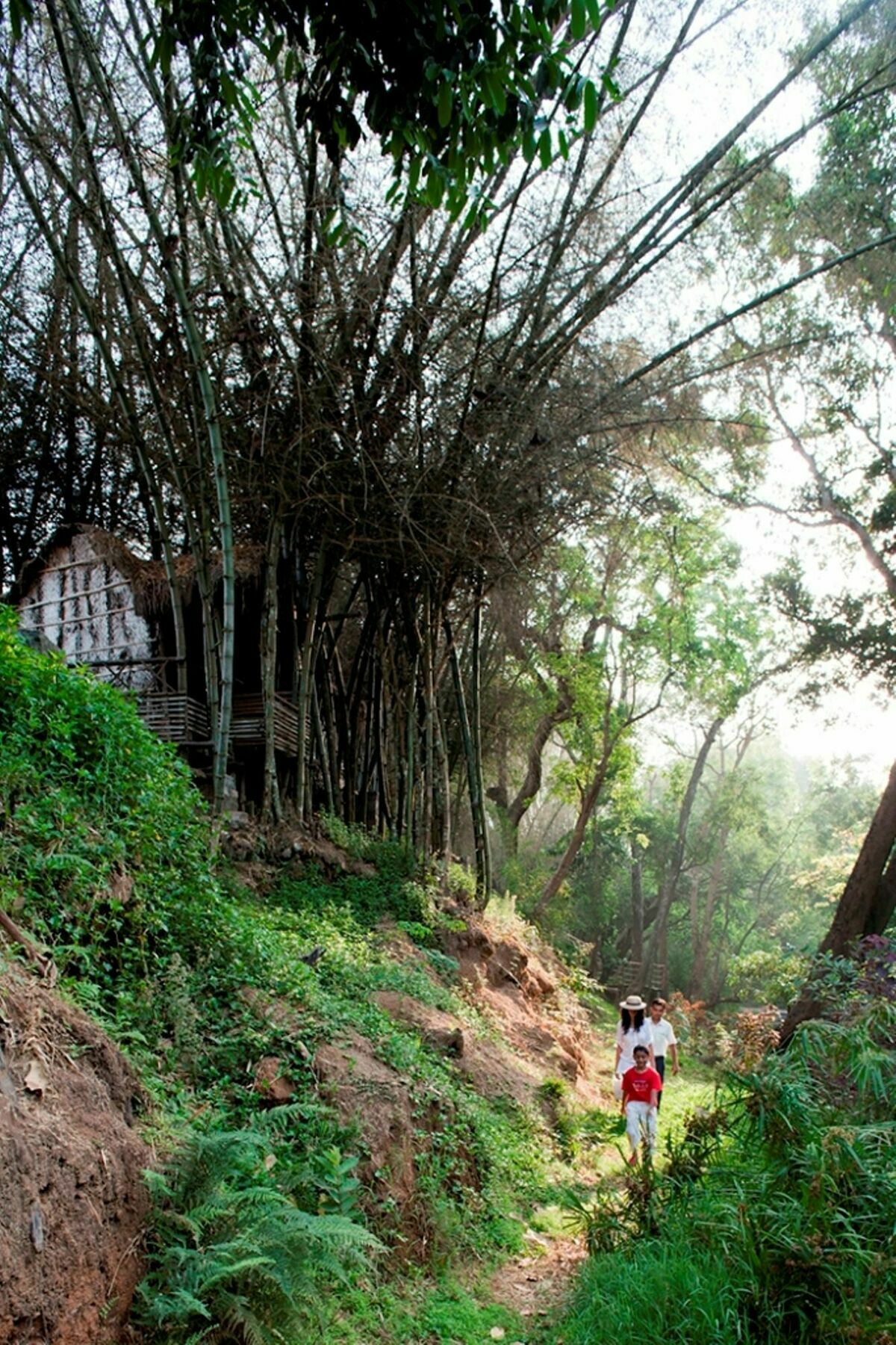Amanvana Spa Resort, Coorg Kushālnagar Exteriér fotografie